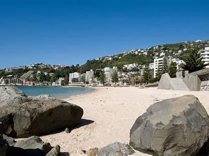 Free Family Days Out in Wellington: The No-Spend Weekend List